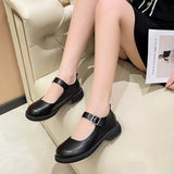 Hnzxzm Women's 2024 Spring/Summer/Autumn New British Academy Style Low Heel Round Toe Mary Jane Single Shoes with Small Leather Shoes