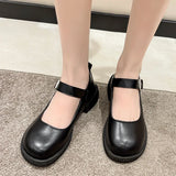 Hnzxzm Women's 2024 Spring/Summer/Autumn New British Academy Style Low Heel Round Toe Mary Jane Single Shoes with Small Leather Shoes