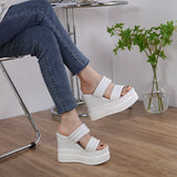 Hnzxzm Fashionable 15cm High Heel Sandals Summer Shoes Platform Slippers Women Open Toe Wedges