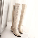 Hnzxzm Large Size Knee High Boots Women Gold Silver Women's High Boot Winter Fashion Zipper Casual Brand Low Heels Long Shoes Female