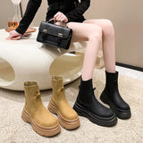 Hnzxzm New 2024 Autumn Winter Platform Heel Short Boots Women Fashion Suede Leather Slip-on Ankle Boots Ladies Thick Heel Booties