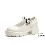 Hnzxzm Mary Jane Shoes Women Japanese Lolita Platform Shoes White Round Toe Low Heel Vintage Pumps Buckle Strap College Student Shoes