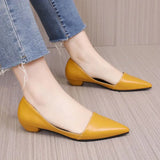 Hnzxzm Shoes for Woman Chunky Heels Women's Summer Footwear Block Heel Office Yellow Pointed Toe Low Elegant Young A on Sale Trend