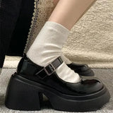 Hnzxzm Platform Mary Jane Shoes 2024 New Women's Shoes Women Thick Heels Trendy Street Lolita Shoes Round Toe Ankle Strap  Pumps