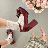 Hnzxzm Block Heel Simple Block Heel High Heels Women's New Autumn Winter Vintage French Mary Jane Shoes women shoes