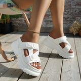 Hnzxzm New Summer Platform Slippers Women's Sandals 2024 Fashion Women Buckle  Wedges High Heel Sandales Open Toe Woman Beach Slides