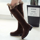 Hnzxzm Hot Warm Snow Boots Women 2024 Winter Shoes Suede Over the Knee High Boots Ladies Fashion Casual Fur Plush Long Shoes Female