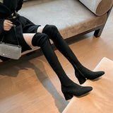 Hnzxzm New 2024 Autumn Winter Stretch Over The Knee Boots Women Fashion Suede Round Toe Square Platform Shoes Thick Heels Long Booties