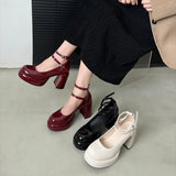 Hnzxzm Platform Women Mary Jane Shoes Fashion Elegant Double Buckle Thick Heel Shoes Ladies Dress Pumps High Heel Party Shoes