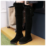 Hnzxzm Hot Warm Snow Boots Women 2024 Winter Shoes Suede Over the Knee High Boots Ladies Fashion Casual Fur Plush Long Shoes Female