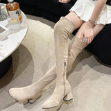 Hnzxzm New 2024 Autumn Winter Stretch Over The Knee Boots Women Fashion Suede Round Toe Square Platform Shoes Thick Heels Long Booties