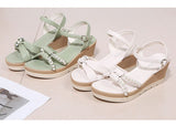 Hnzxzm Summer Shoes Women Wedges Sandals Fashion Ladies High Heels Woman Summer Holiday Shoes Soft Comfortable A4558