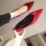 Hnzxzm Fashion Flats for Women Single Shoes Pointed toe Office Lady Shoes Elegant Women Flats Black Blue Red Plus Size 42 A4577