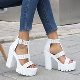 2022 Summer Women Sandals Sexy Waterproof Platform Cross Buckle Non-slip Thick Heel High Heel Sandals Nightclub Stage Shoes