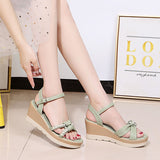 Hnzxzm Summer Shoes Women Wedges Sandals Fashion Ladies High Heels Woman Summer Holiday Shoes Soft Comfortable A4558