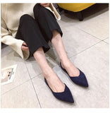 Hnzxzm Fashion Flats for Women Single Shoes Pointed toe Office Lady Shoes Elegant Women Flats Black Blue Red Plus Size 42 A4577