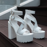 2022 Summer New Women's Sandals Sexy Waterproof Platform Cross Strap Buckle Chunky Heel High Heel Sandals Nightclub Shoes