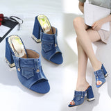 Hnzxzm Women Denim Shoes Sexy Ladies High Heels Fashion Women Summer Shoes Open toe Women Square Heels Sandals Heel 11.5cm A1464