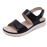 Hnzxzm Summer Shoes Women Sandals Holiday Beach Wedges Sandals Women Slippers Soft Comfortable Ladies Summer Slippers A2121