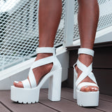 2022 Summer New Women's Sandals Sexy Waterproof Platform Cross Strap Buckle Chunky Heel High Heel Sandals Nightclub Shoes